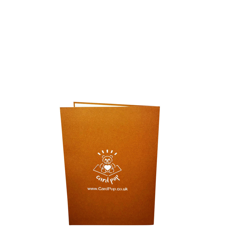 Pansy in a Pot 3D Pop Up Card UK