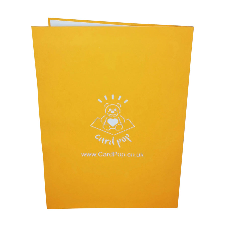 Birthday Pinata 3D Pop Up Card UK