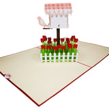 Lovebird and Heart Bird Box Love Valentine Anniversary Wedding 3D Pop Up Card UK