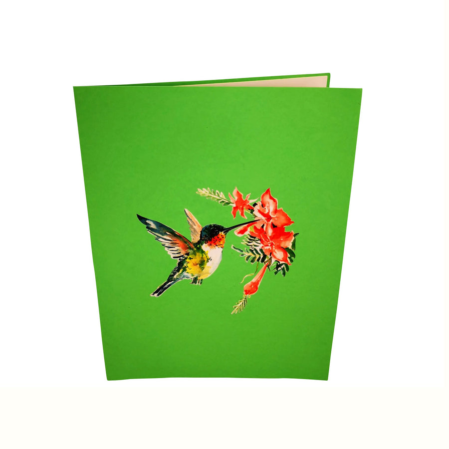 Hummingbird 3D Pop Up Card UK