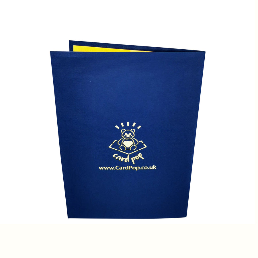 Stegosaurus Dinosaur 3D Pop Up Card UK