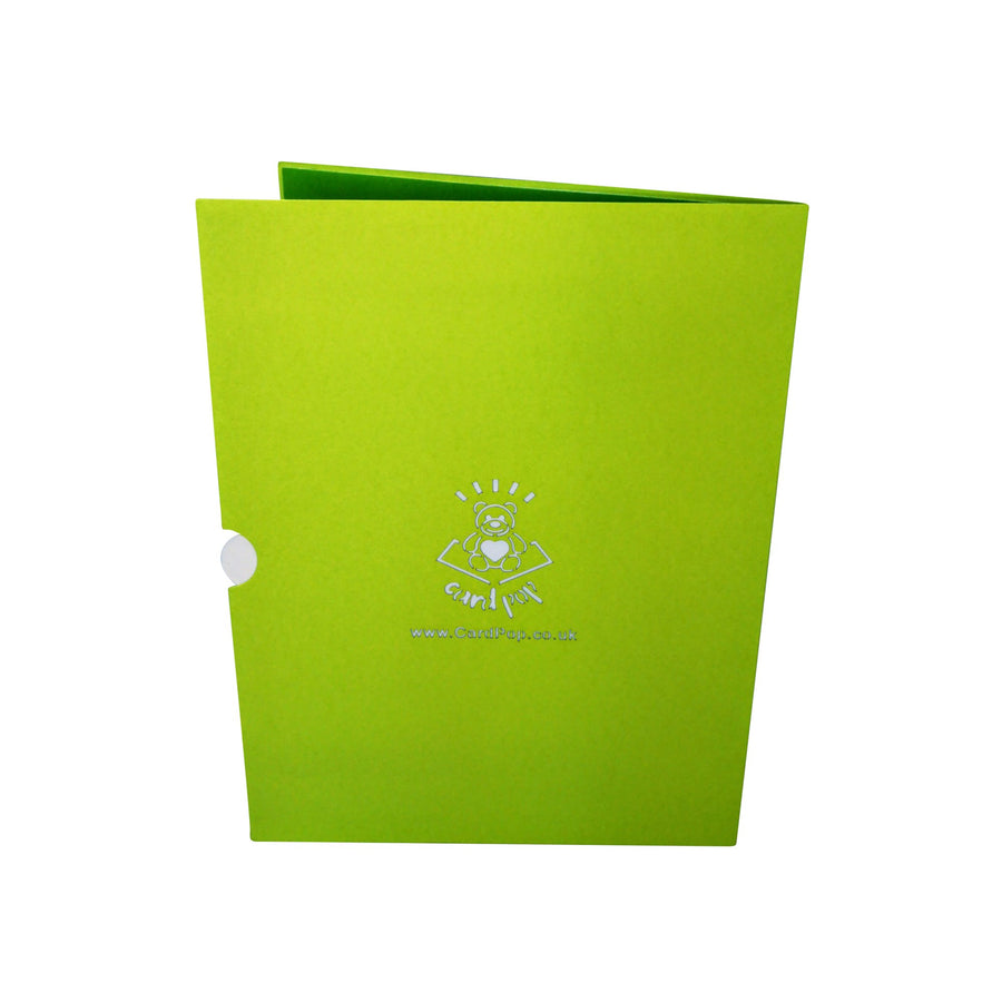 Female & Female Romance Scene 3D Pop Up Card UK