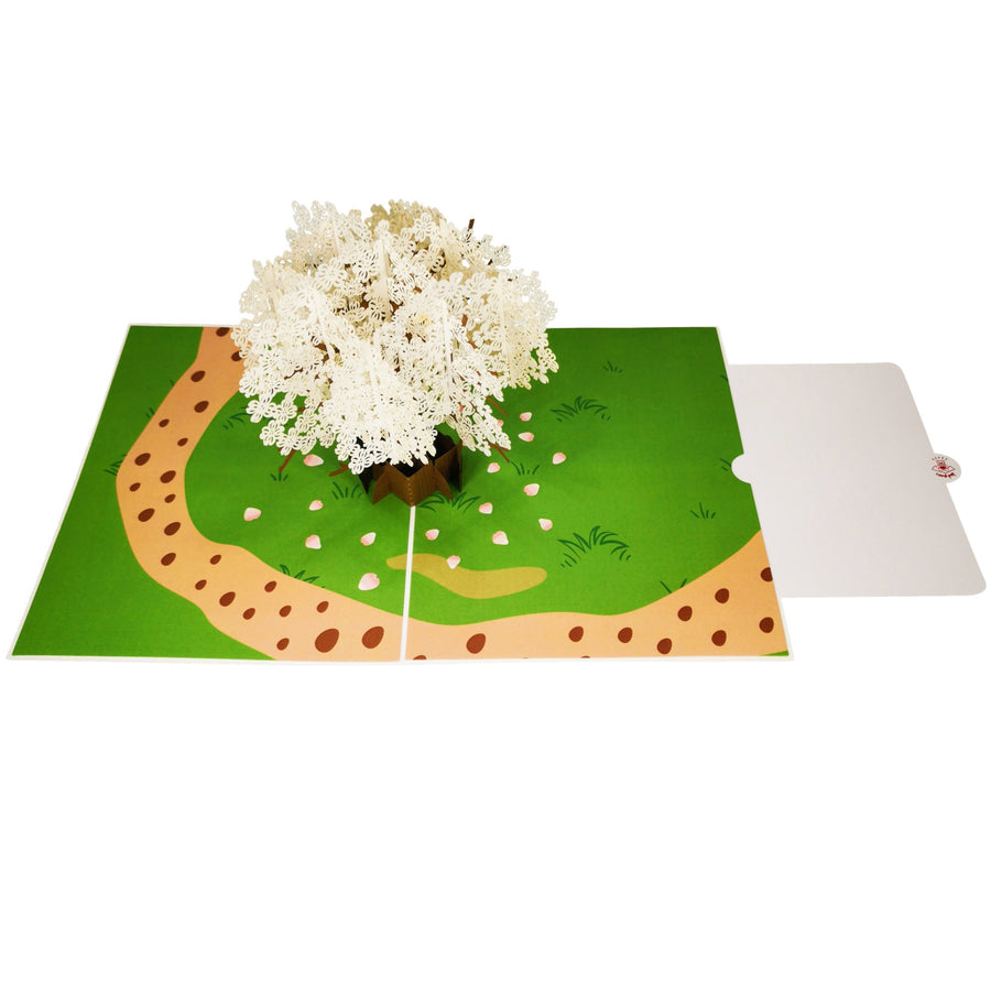Male & Male Romance Scene 3D Pop Up Card UK