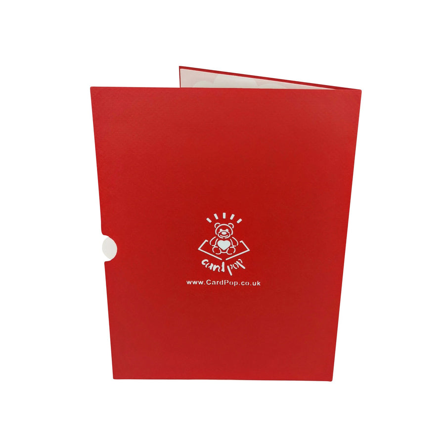 Cuddle Cats 3D Pop Up Card UK