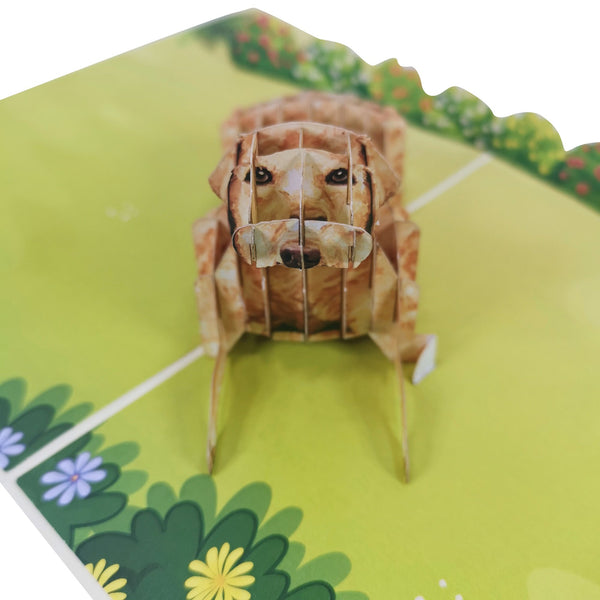 Golden Retriever Pop-Up Card - Image 3