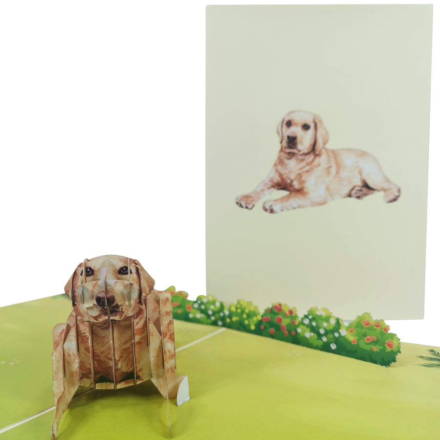 Golden Retriever 3D Pop Up Card UK