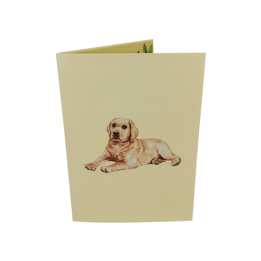 Golden Retriever 3D Pop Up Card UK