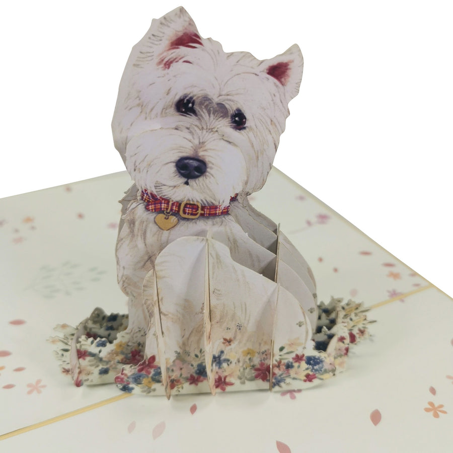 West Highland White Terrier 3D Pop Up Card UK