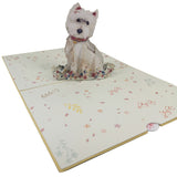 West Highland White Terrier 3D Pop Up Card UK