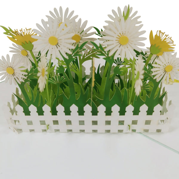 White Daisy Flower Garden Pop-Up Card - Image 3