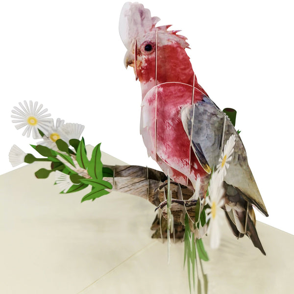 Pink & Grey Cockatoo Parrot Pop-Up Card - Image 3