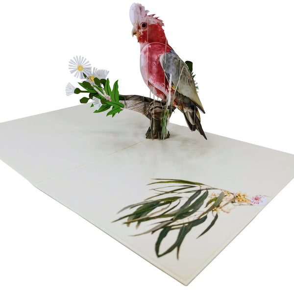Pink & Grey Cockatoo Parrot Pop-Up Card - Image 4
