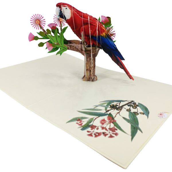 Scarlet Macaw Parrot Pop-Up Card - Image 4