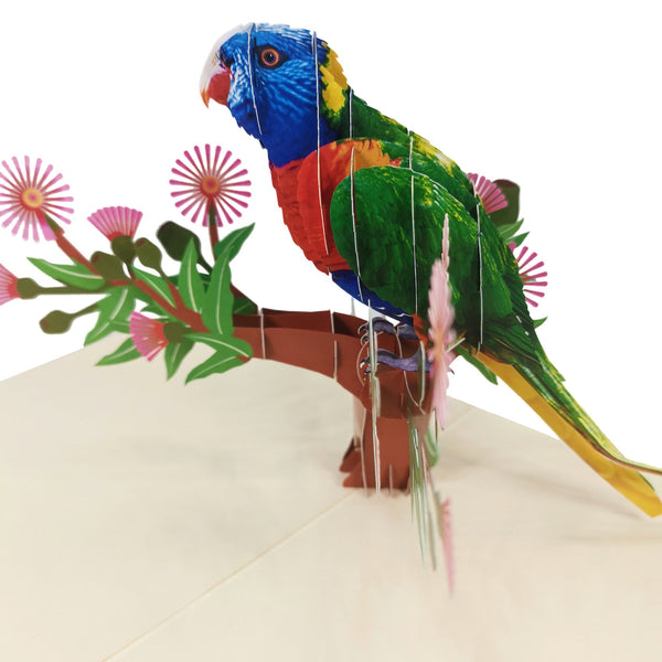 Rainbow Lorikeet Parrot Pop-Up Card - Image 3