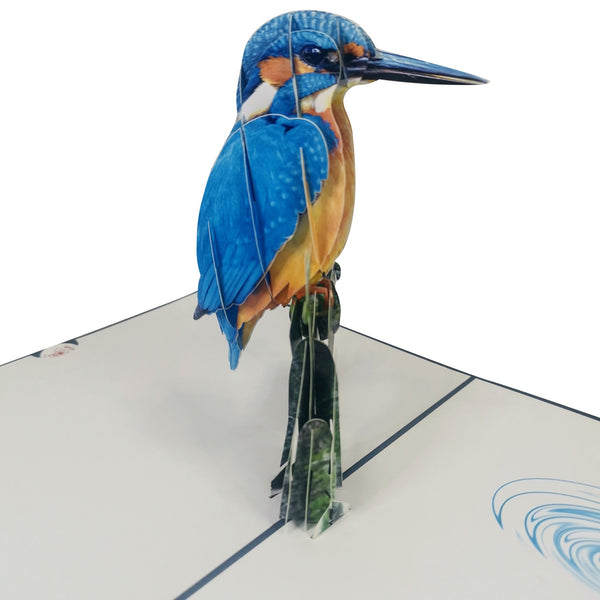 Kingfisher Pop-Up Card - Image 3