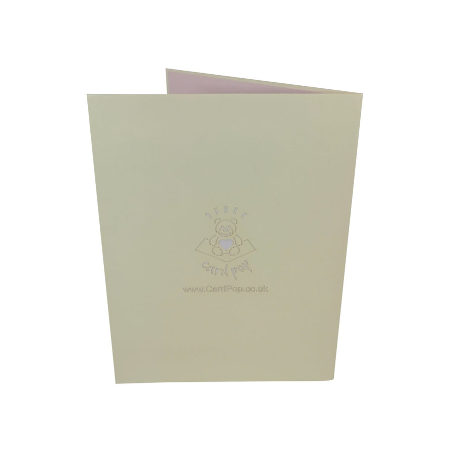 Flamingo Couple 3D Pop Up Card UK