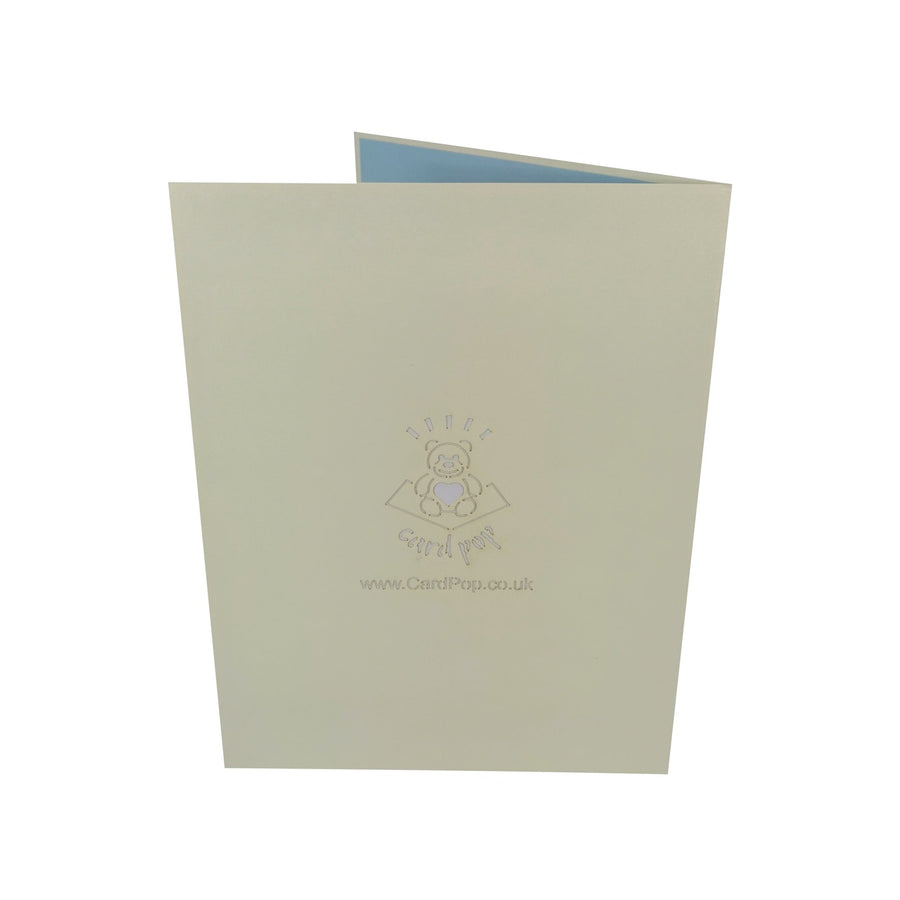 Flamingo Family 3D Pop Up Card UK