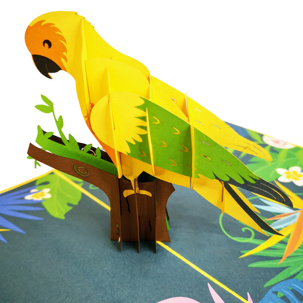 Sun Parakeet Parrot Pop-Up Card - Image 3