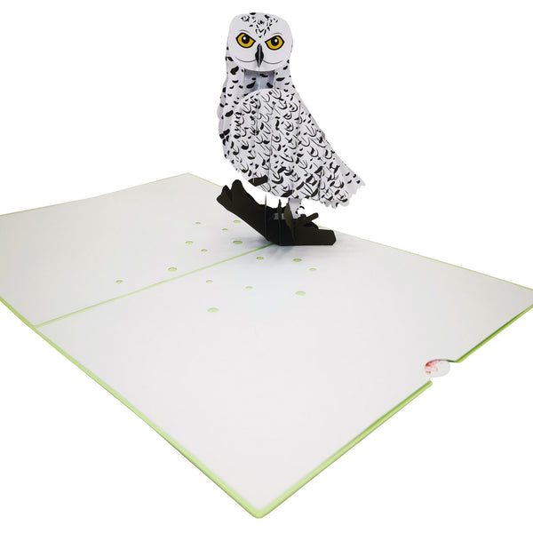 Snow Owl Pop-Up Card - Image 4