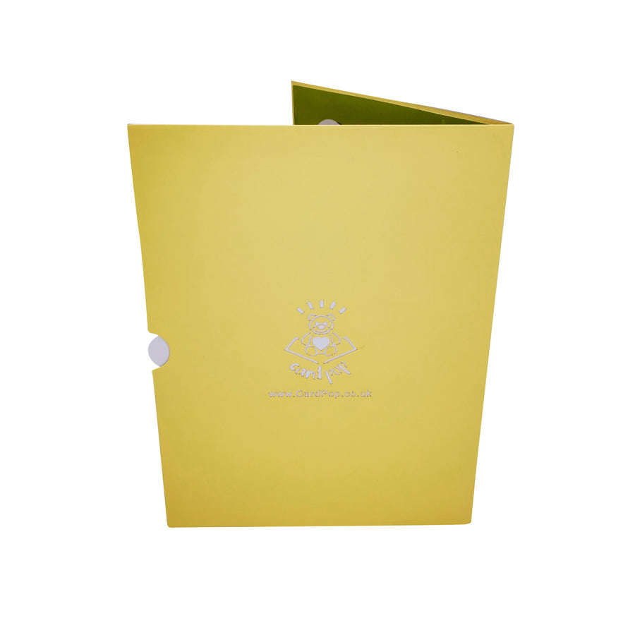 BBQ Picnic 3D Pop Up Card UK