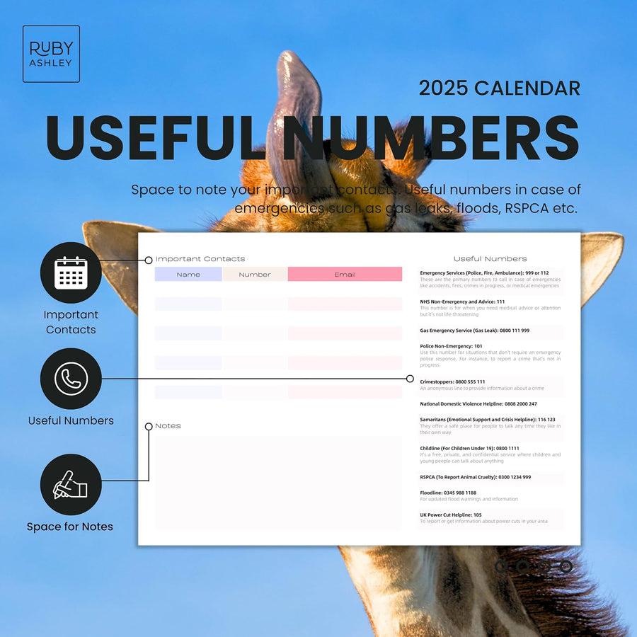 2025 Funny Animals Calendar: 13 Months of Cute Images, UK Notable Dates, Essential Contacts & Religious Festivals Included