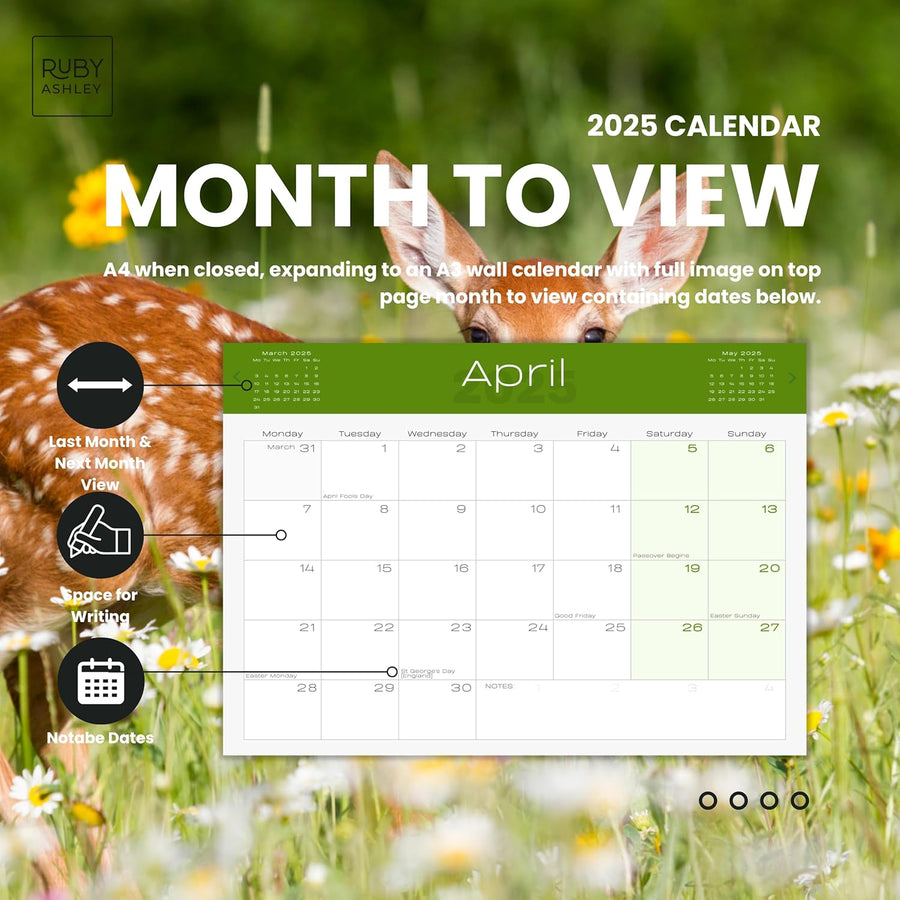 2025 British Wildlife Calendar: 13 Months of Stunning Images, UK Notable Dates, Essential Contacts & Religious Festivals Included