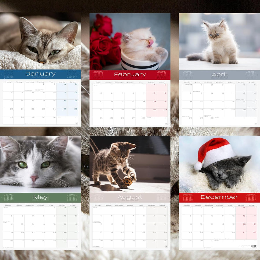2025 Cats & Kittens Calendar: 13 Months of Cute Images, UK Notable Dates, Essential Contacts & Religious Festivals Included
