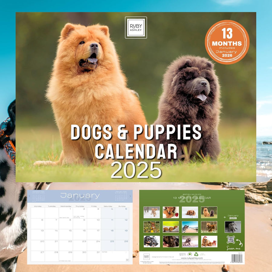 2025 Dogs & Puppies Calendar: 13 Months of Super Cute Images, UK Notable Dates, Essential Contacts & Religious Festivals Included