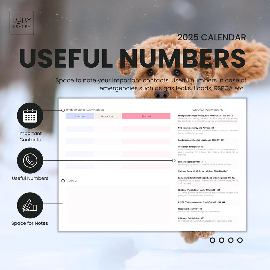 2025 Dogs & Puppies Calendar: 13 Months of Super Cute Images, UK Notable Dates, Essential Contacts & Religious Festivals Included