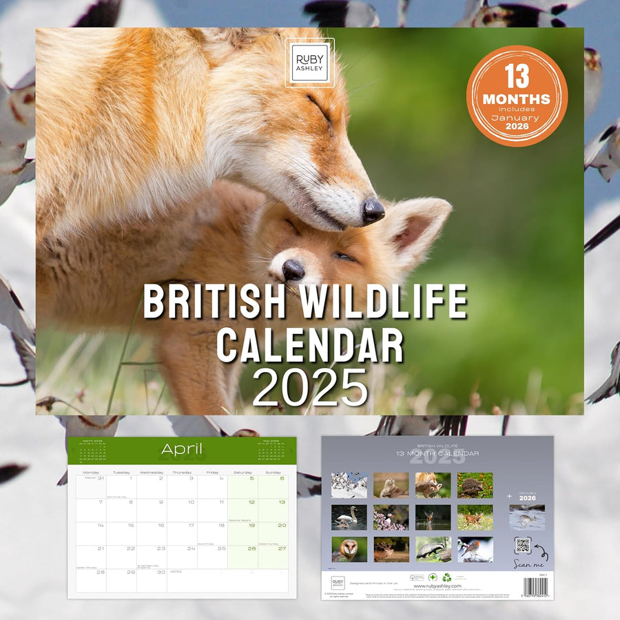 2025 British Wildlife Calendar: 13 Months of Stunning Images, UK Notable Dates, Essential Contacts & Religious Festivals Included