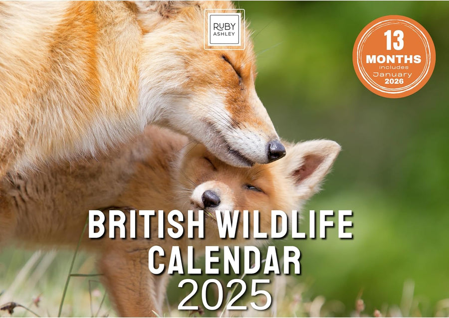 2025 British Wildlife Calendar: 13 Months of Stunning Images, UK Notable Dates, Essential Contacts & Religious Festivals Included