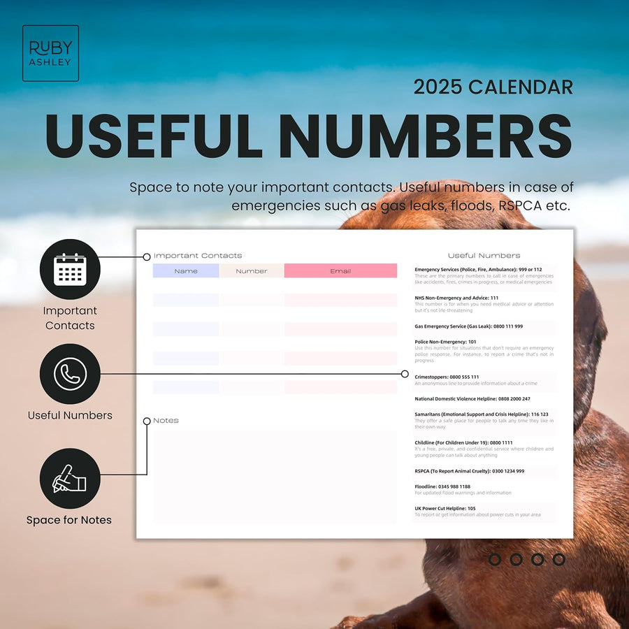 2025 Dachshund Dogs Calendar: 13 Months of Stunning Images, UK Notable Dates, Essential Contacts & Religious Festivals Included