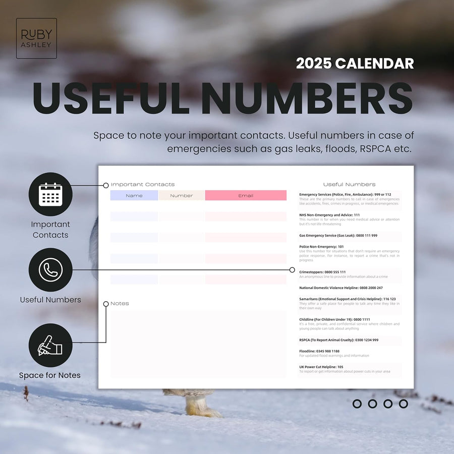 2025 British Wildlife Calendar: 13 Months of Stunning Images, UK Notable Dates, Essential Contacts & Religious Festivals Included