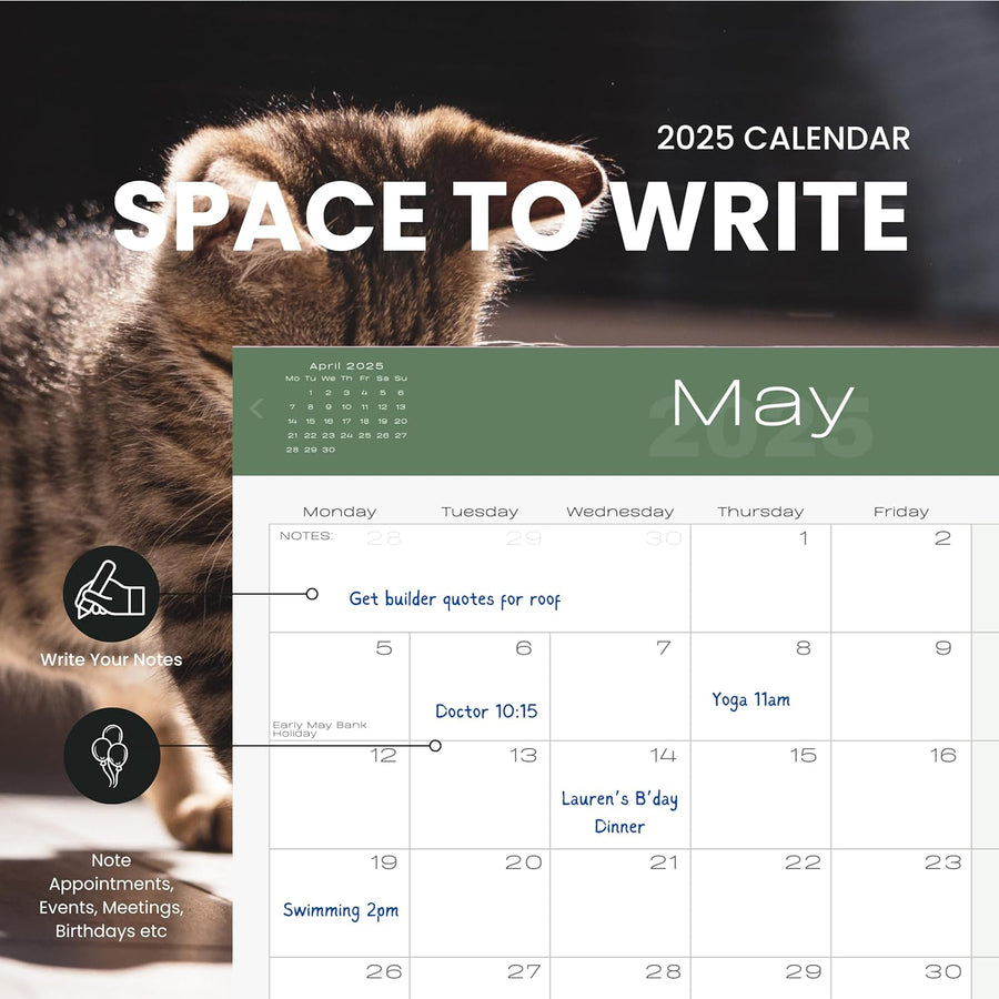 2025 Cats & Kittens Calendar: 13 Months of Cute Images, UK Notable Dates, Essential Contacts & Religious Festivals Included