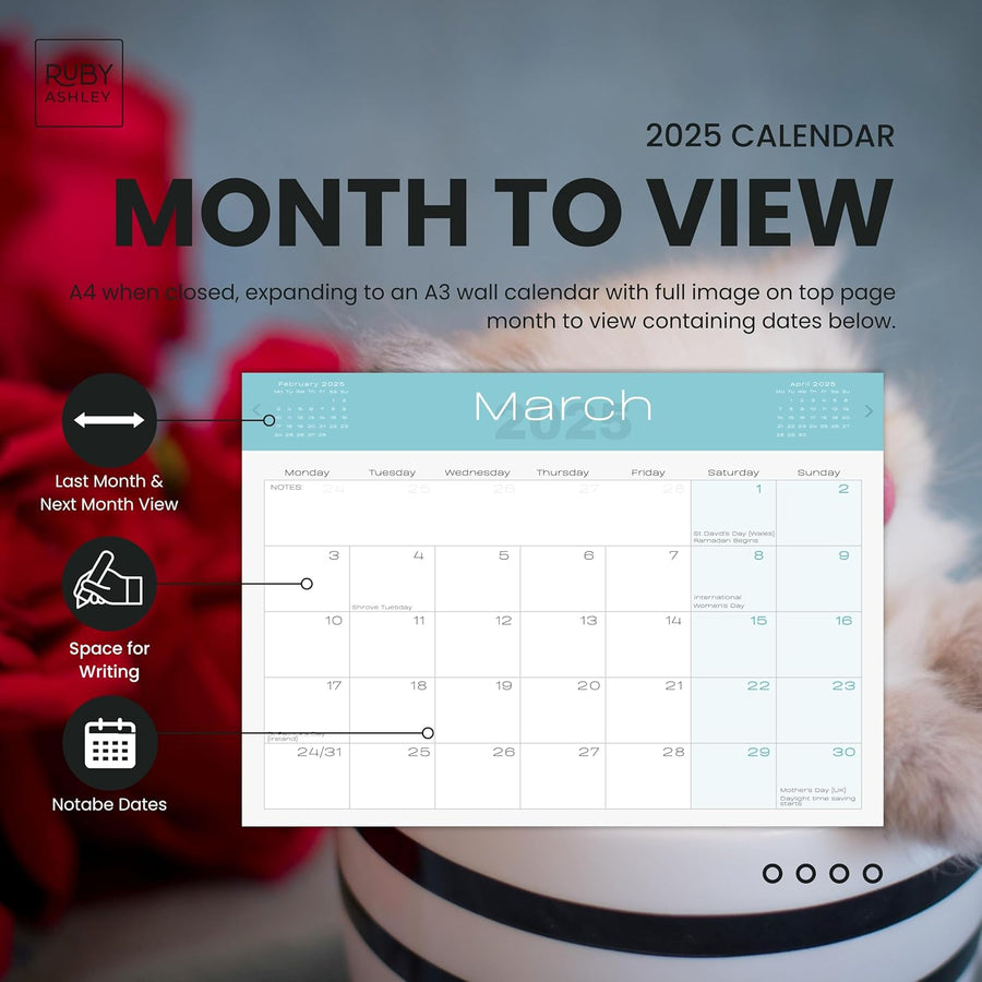 2025 Cats & Kittens Calendar: 13 Months of Cute Images, UK Notable Dates, Essential Contacts & Religious Festivals Included