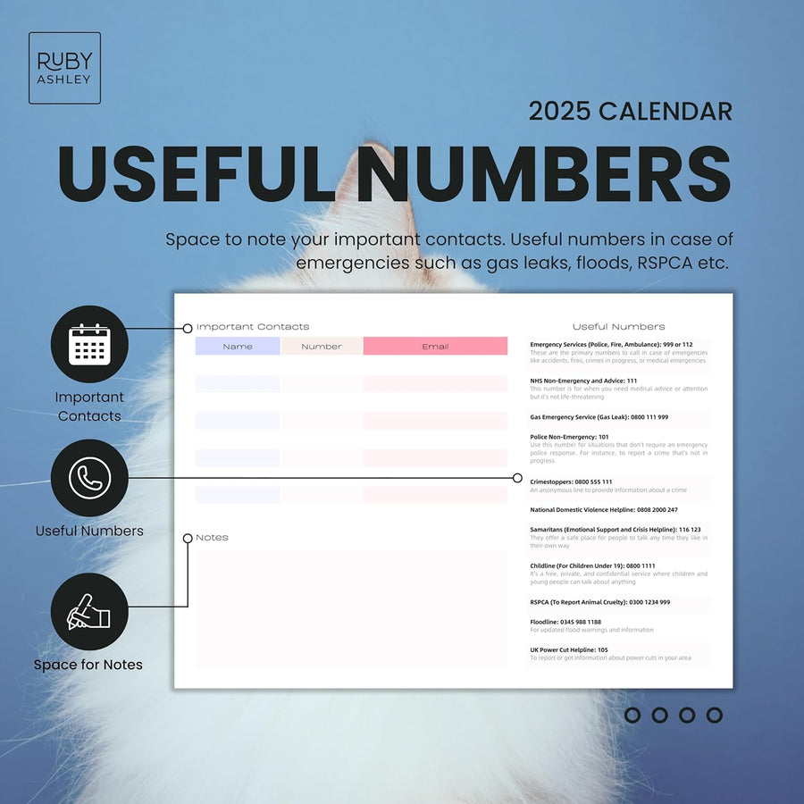 2025 Cats & Kittens Calendar: 13 Months of Cute Images, UK Notable Dates, Essential Contacts & Religious Festivals Included
