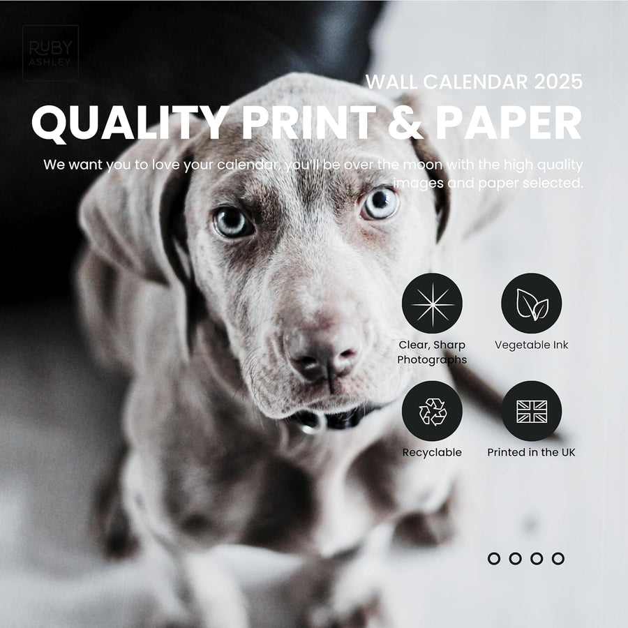 2025 Dogs & Puppies Calendar: 13 Months of Super Cute Images, UK Notable Dates, Essential Contacts & Religious Festivals Included