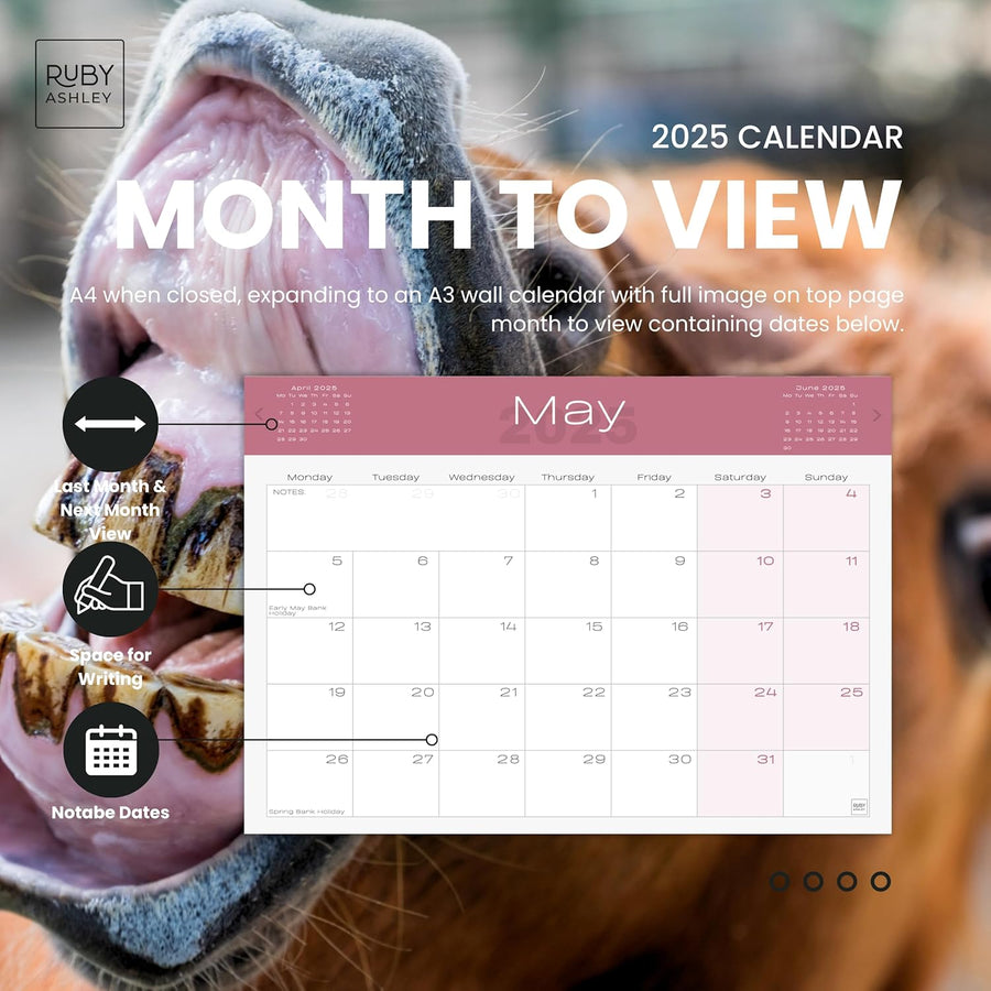 2025 Funny Animals Calendar: 13 Months of Cute Images, UK Notable Dates, Essential Contacts & Religious Festivals Included