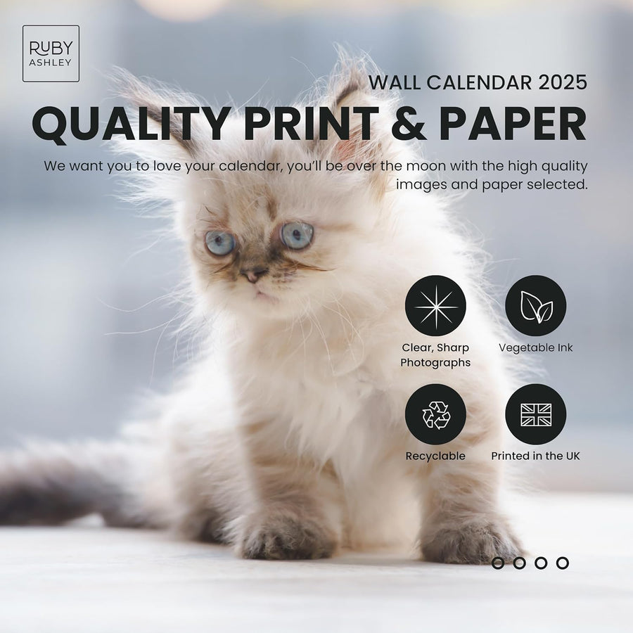 2025 Cats & Kittens Calendar: 13 Months of Cute Images, UK Notable Dates, Essential Contacts & Religious Festivals Included