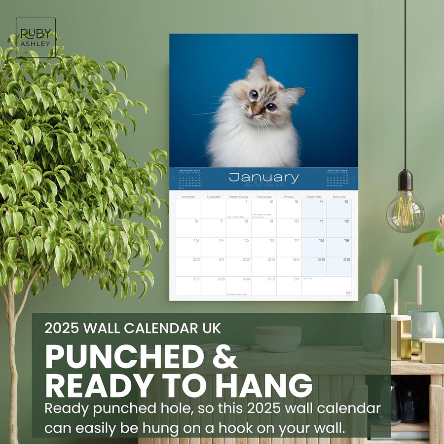 2025 Cats & Kittens Calendar: 13 Months of Cute Images, UK Notable Dates, Essential Contacts & Religious Festivals Included