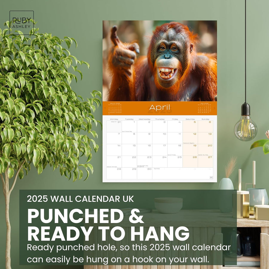 2025 Funny Animals Calendar: 13 Months of Cute Images, UK Notable Dates, Essential Contacts & Religious Festivals Included