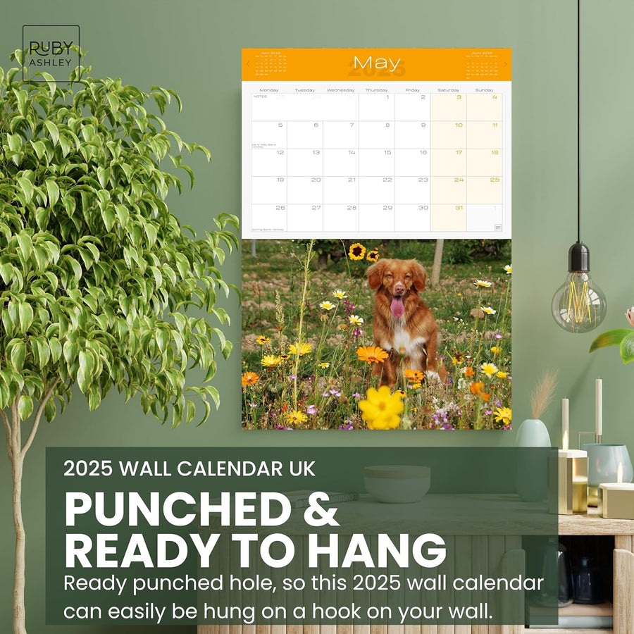 2025 Dogs & Puppies Calendar: 13 Months of Super Cute Images, UK Notable Dates, Essential Contacts & Religious Festivals Included