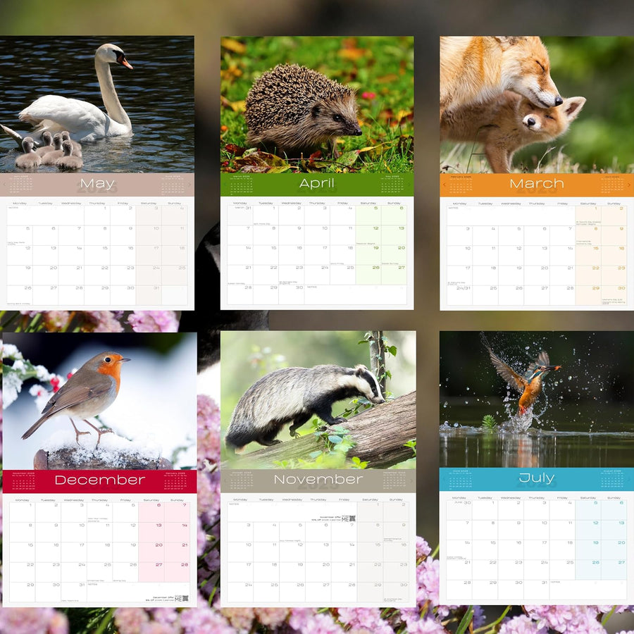 2025 British Wildlife Calendar: 13 Months of Stunning Images, UK Notable Dates, Essential Contacts & Religious Festivals Included