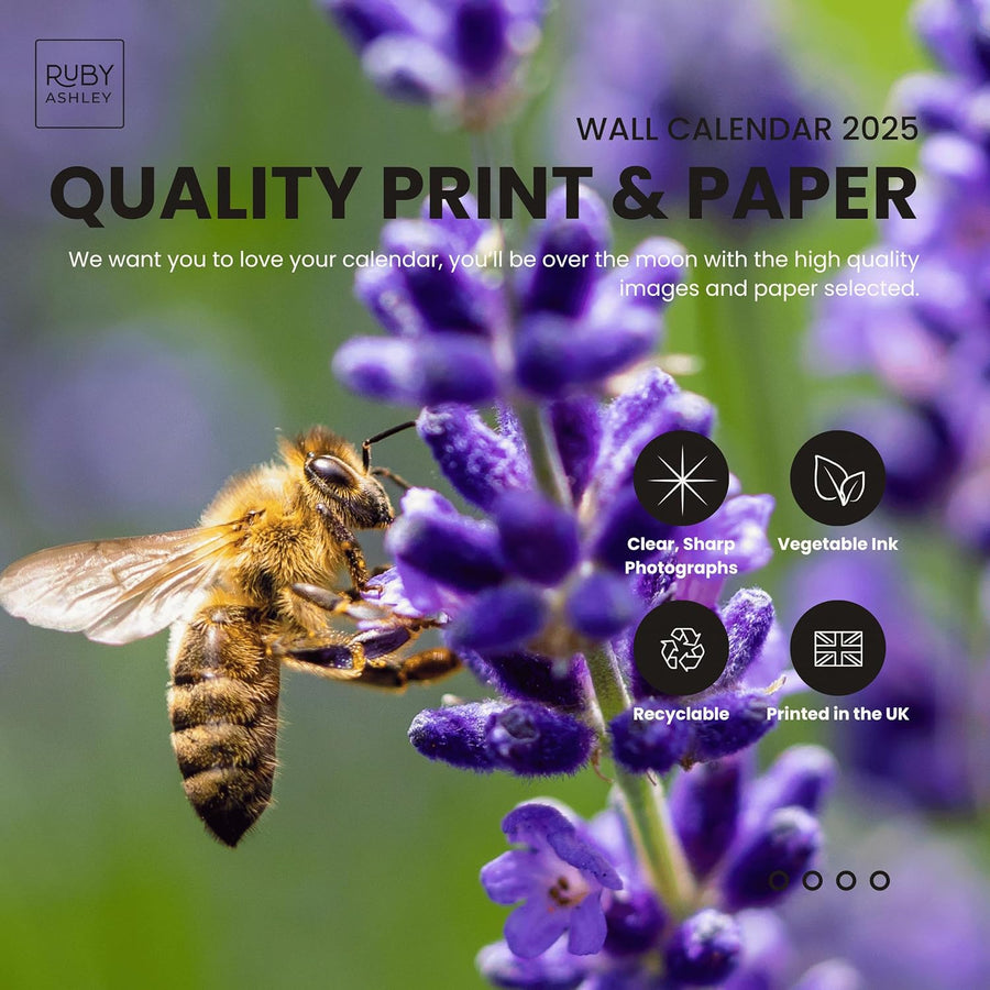 2025 British Seasons Calendar: 13 Months of Stunning Images, UK Notable Dates, Essential Contacts & Religious Festivals Included