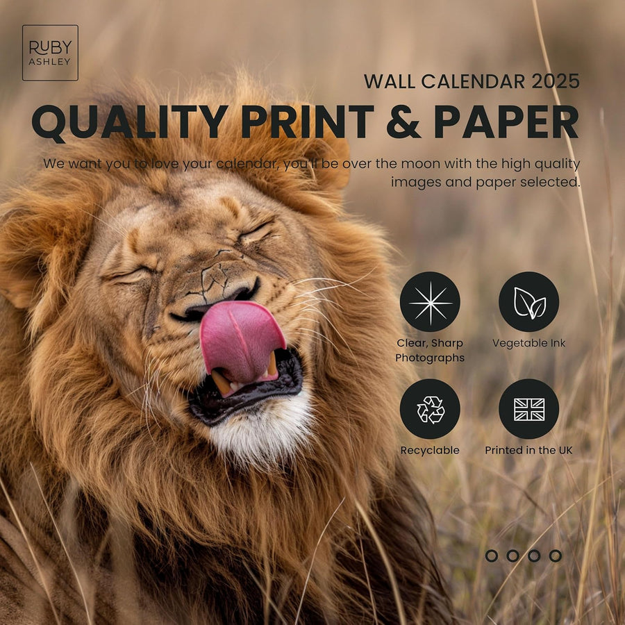 2025 Funny Animals Calendar: 13 Months of Cute Images, UK Notable Dates, Essential Contacts & Religious Festivals Included