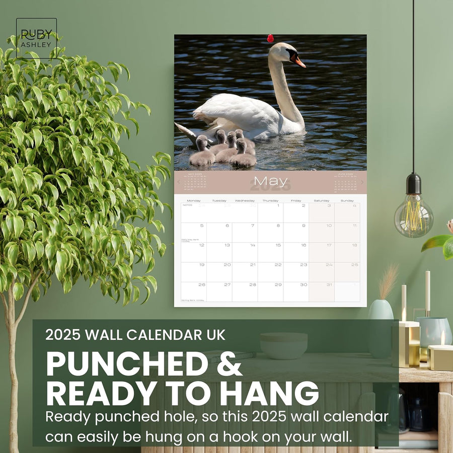 2025 British Wildlife Calendar: 13 Months of Stunning Images, UK Notable Dates, Essential Contacts & Religious Festivals Included