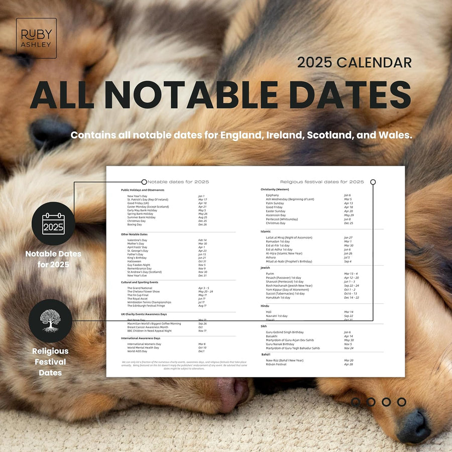2025 Dachshund Dogs Calendar: 13 Months of Stunning Images, UK Notable Dates, Essential Contacts & Religious Festivals Included
