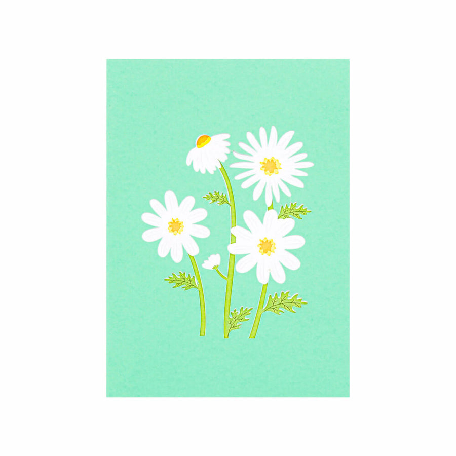Daisy And Butterflies Pop-Up Card