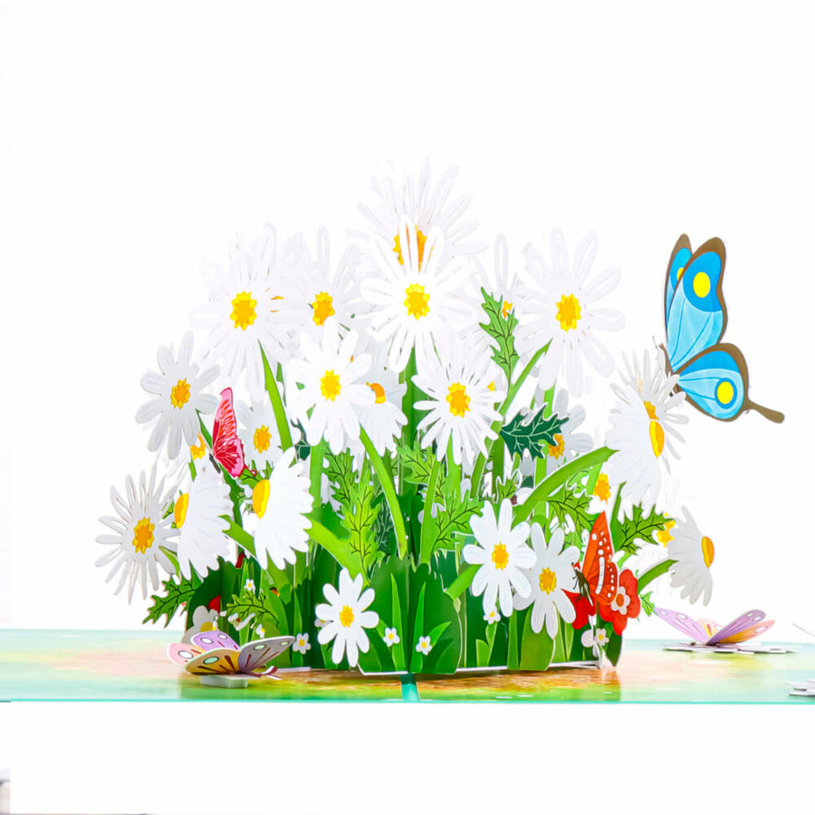 Daisy And Butterflies Pop-Up Card