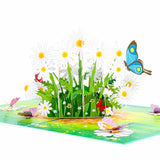 Daisy And Butterflies Pop-Up Card